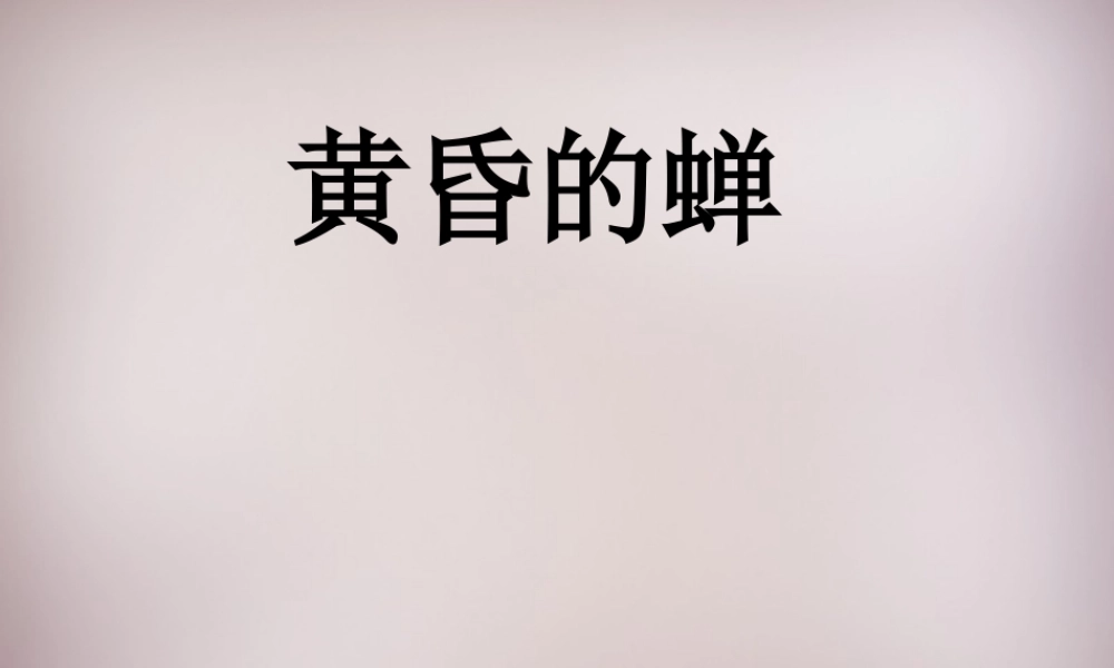 四年级语文上册《黄昏的蝉》课件1 语文A版-语文A版小学四年级上册语文课件