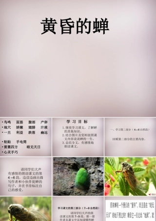四年级语文上册《黄昏的蝉》课件1 语文A版-语文A版小学四年级上册语文课件