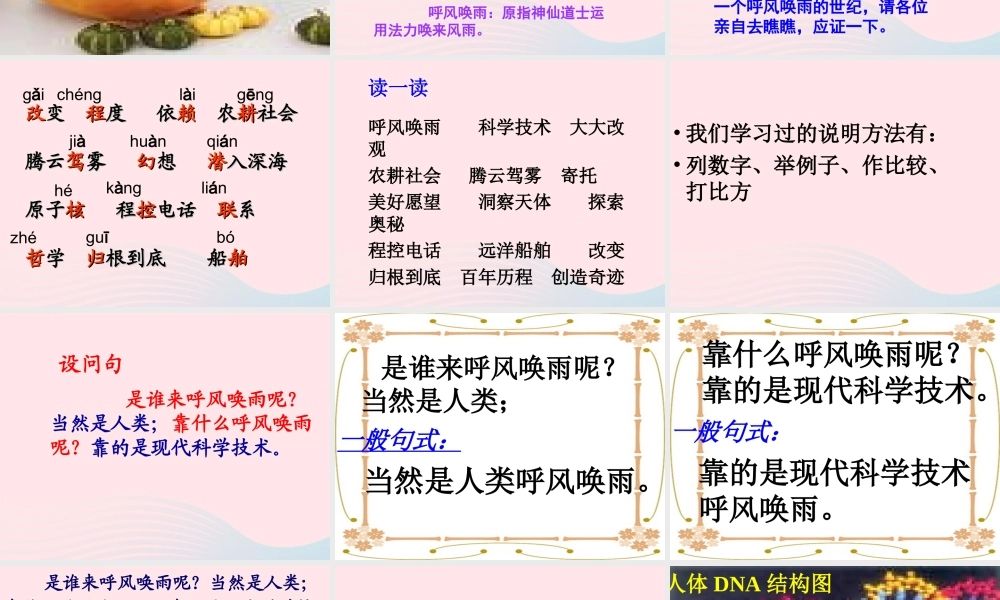 四年级语文上册 第八组 29《呼风唤雨的世纪》课堂教学课件3 新人教版-新人教版小学四年级上册语文课件