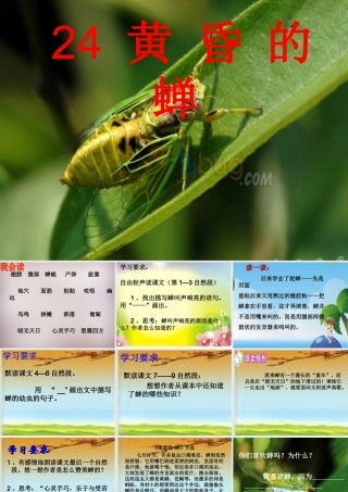四年级语文上册《黄昏的蝉》课件3 语文A版-语文A版小学四年级上册语文课件