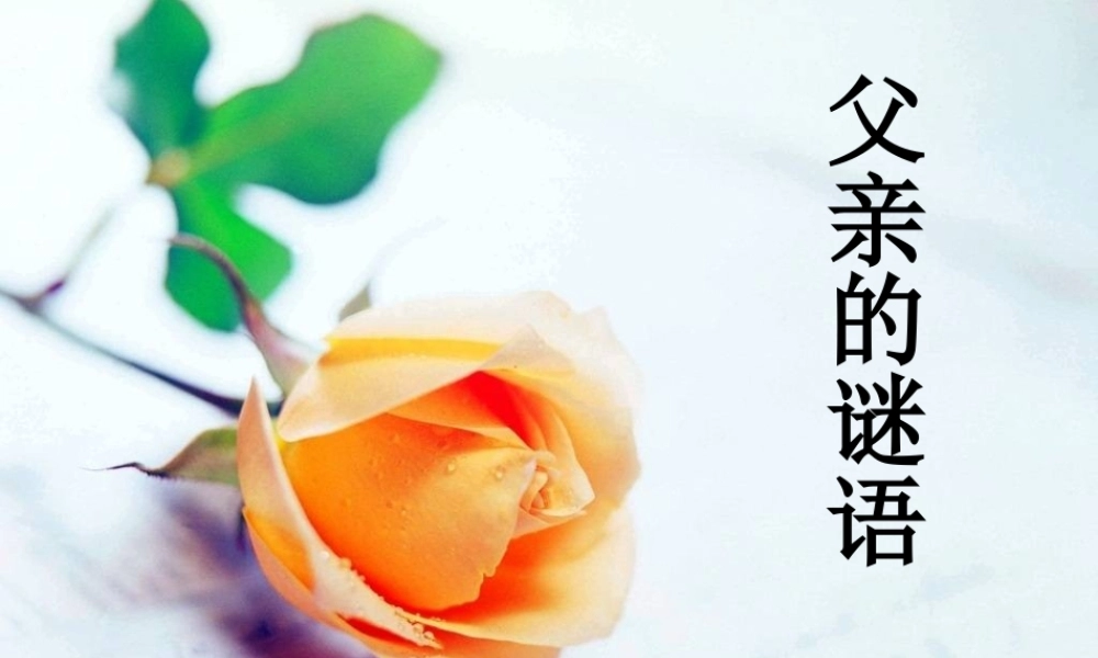四年级语文下册 第5单元 21《父亲的谜语》课件3 沪教版-沪教版小学四年级下册语文课件