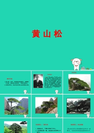四年级语文上册《黄山松》课件2 教科版-教科版小学四年级上册语文课件