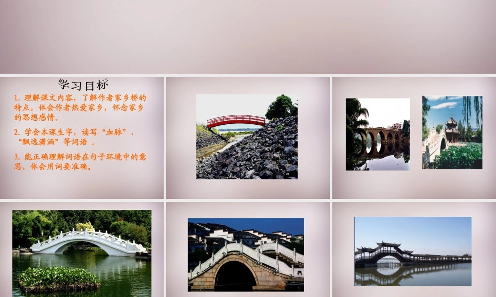 四年级语文上册《家乡的桥》课件1 语文A版-语文A版小学四年级上册语文课件