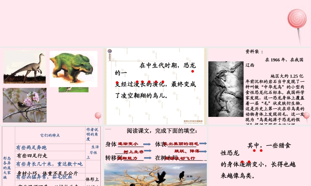 四年级语文上册 第八组 31 飞向蓝天的恐龙课件 新人教版-新人教版小学四年级上册语文课件