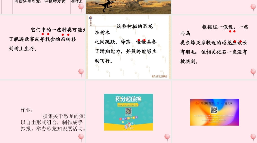 四年级语文上册 第八组 31 飞向蓝天的恐龙课件 新人教版-新人教版小学四年级上册语文课件