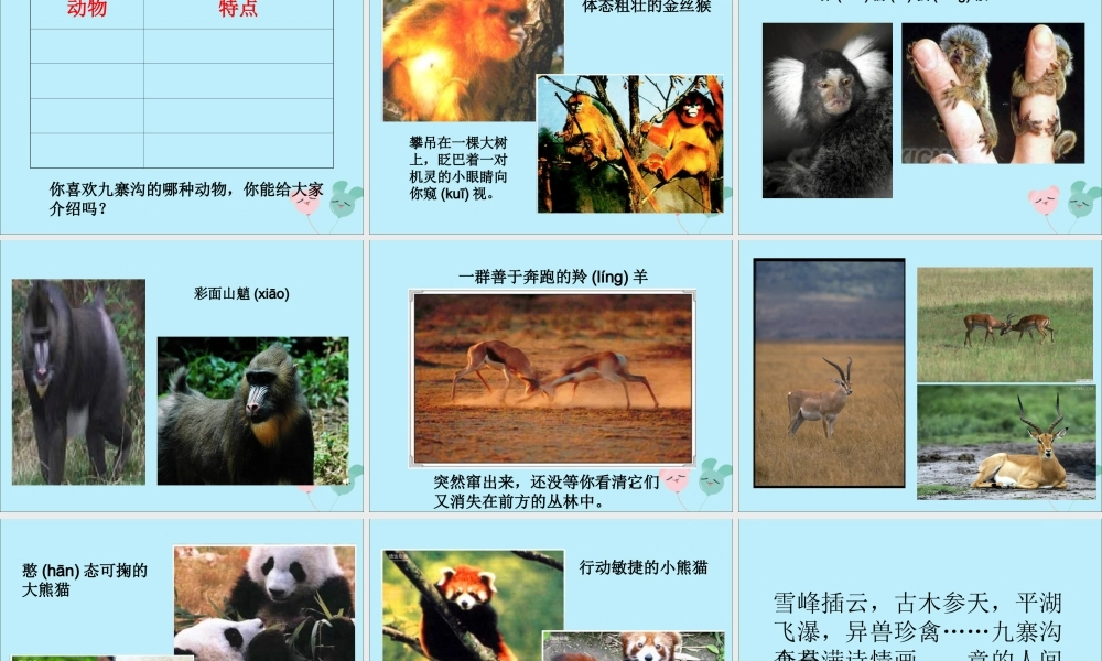 四年级语文上册 第三单元 10 九寨沟教学课件 苏教版-苏教版小学四年级上册语文课件