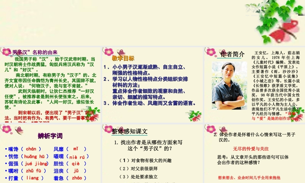 四年级语文下册 第5单元 23《我们家的男子汉》课件2 沪教版-沪教版小学四年级下册语文课件