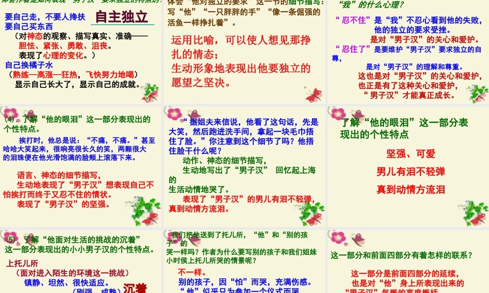 四年级语文下册 第5单元 23《我们家的男子汉》课件2 沪教版-沪教版小学四年级下册语文课件