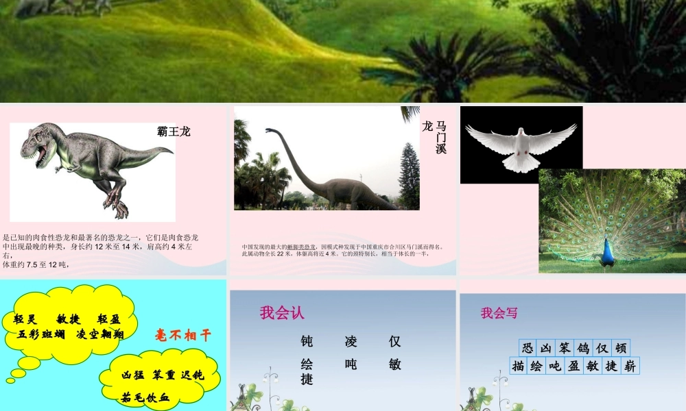 四年级语文上册 第八组 31《飞向蓝天的恐龙》课堂教学课件1 新人教版-新人教版小学四年级上册语文课件