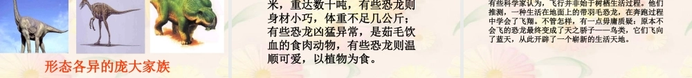 四年级语文上册 第八组 31《飞向蓝天的恐龙》课堂教学课件1 新人教版-新人教版小学四年级上册语文课件