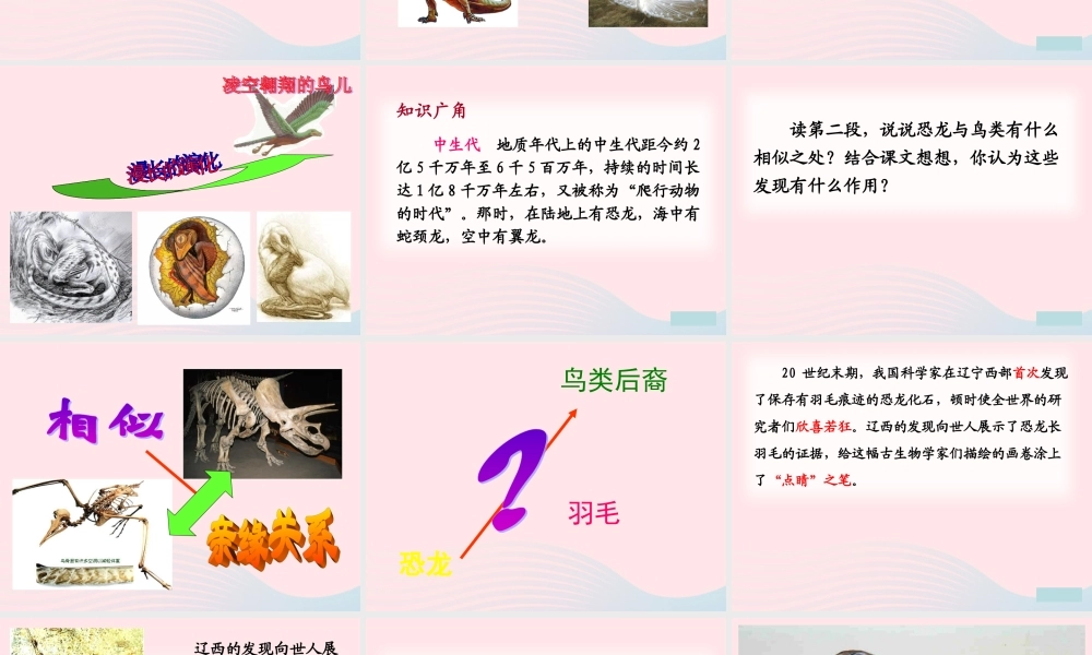 四年级语文上册 第八组 31《飞向蓝天的恐龙》课堂教学课件2 新人教版-新人教版小学四年级上册语文课件