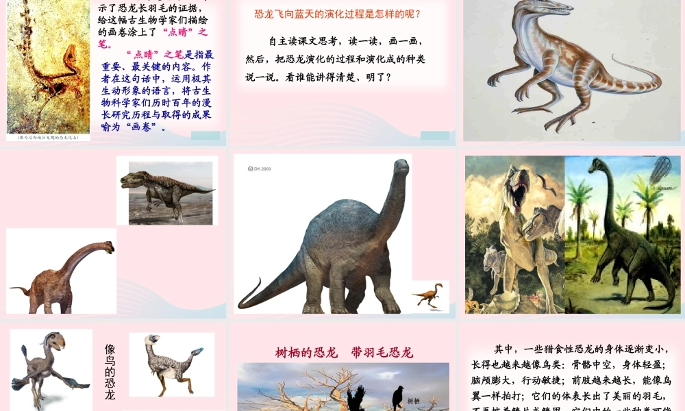 四年级语文上册 第八组 31《飞向蓝天的恐龙》课堂教学课件2 新人教版-新人教版小学四年级上册语文课件