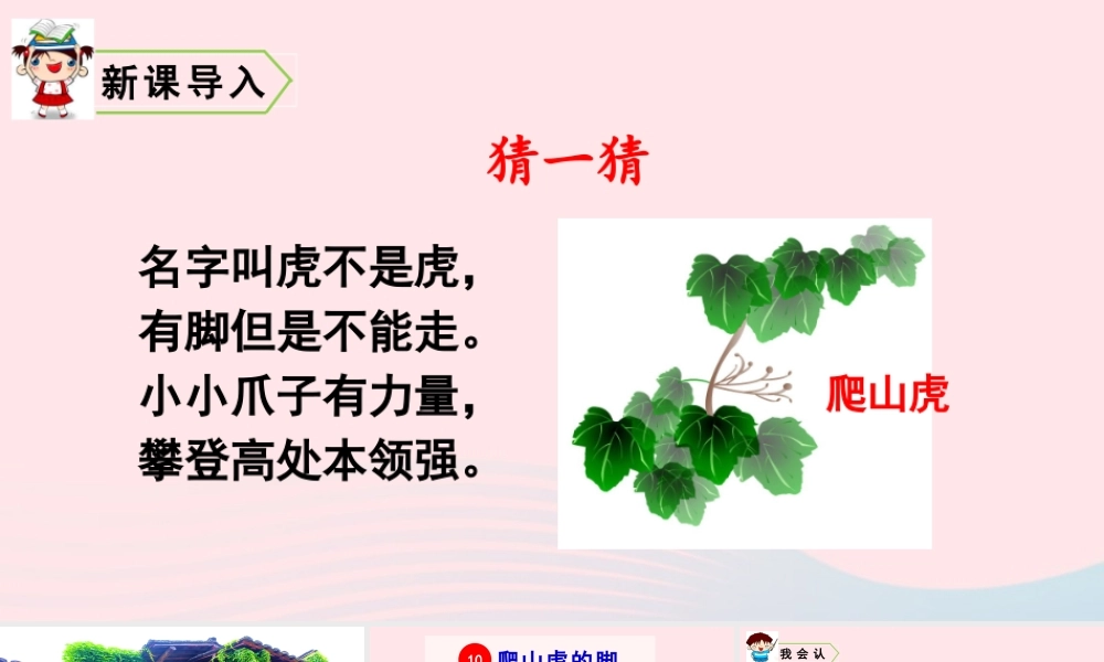 四年级语文上册 第三单元 10 爬山虎的脚教学课件 新人教版-新人教版小学四年级上册语文课件