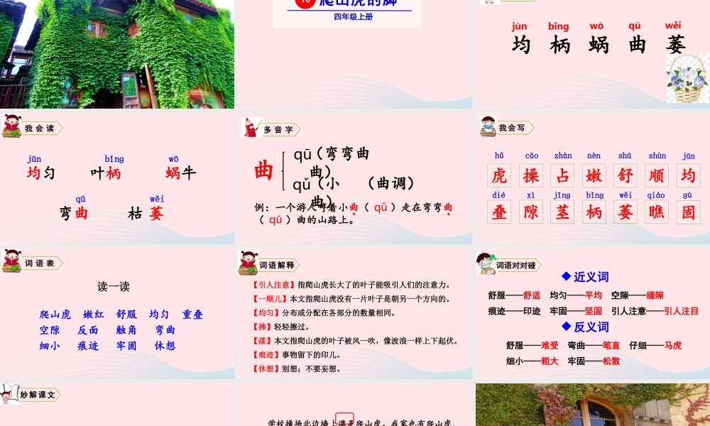 四年级语文上册 第三单元 10 爬山虎的脚教学课件 新人教版-新人教版小学四年级上册语文课件