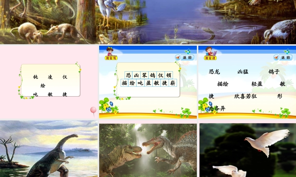 四年级语文上册 第八组 31《飞向蓝天的恐龙》课堂教学课件3 新人教版-新人教版小学四年级上册语文课件