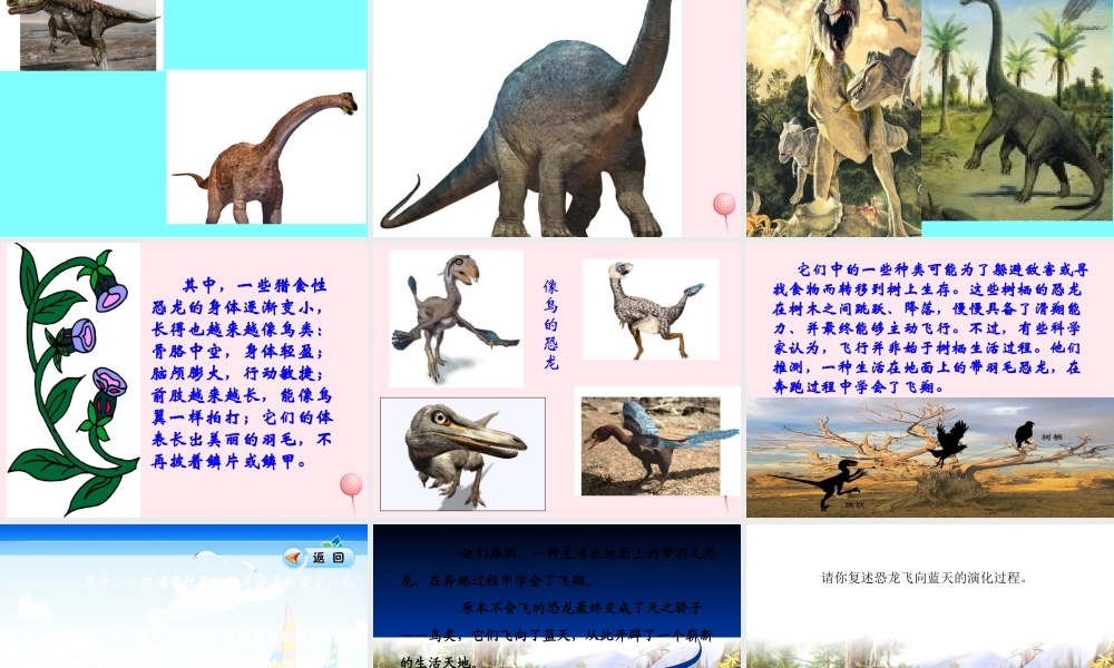 四年级语文上册 第八组 31《飞向蓝天的恐龙》课堂教学课件3 新人教版-新人教版小学四年级上册语文课件