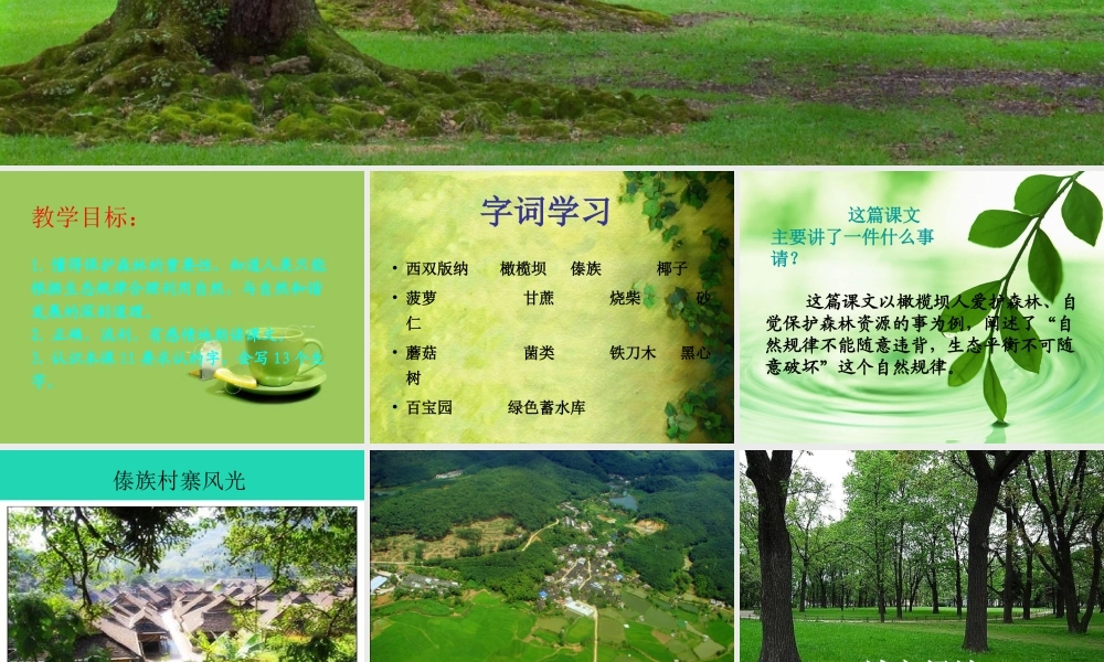 四年级语文上册《紧靠森林为什么还要种树》课件 教科版-教科版小学四年级上册语文课件