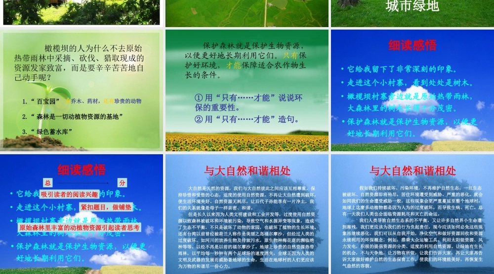 四年级语文上册《紧靠森林为什么还要种树》课件 教科版-教科版小学四年级上册语文课件