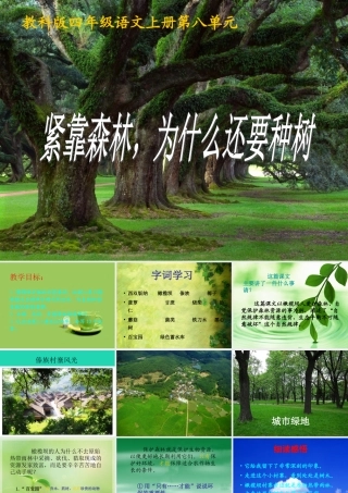四年级语文上册《紧靠森林为什么还要种树》课件 教科版-教科版小学四年级上册语文课件