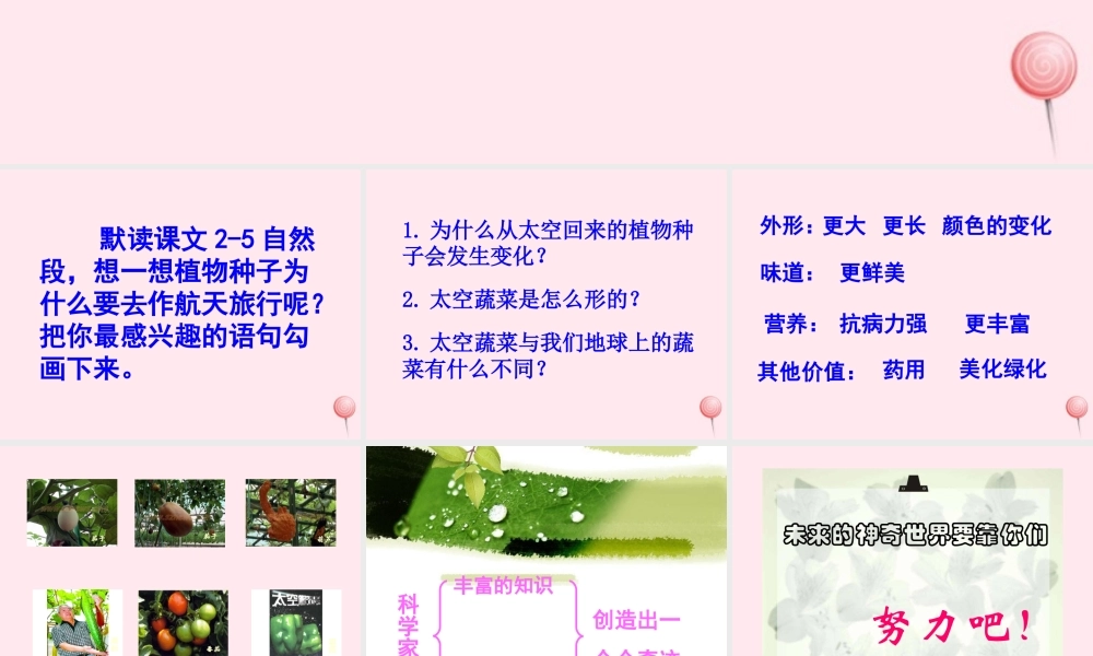 四年级语文上册 第八组 32 飞船上的特殊乘客课件 新人教版-新人教版小学四年级上册语文课件