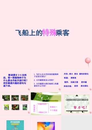 四年级语文上册 第八组 32 飞船上的特殊乘客课件 新人教版-新人教版小学四年级上册语文课件