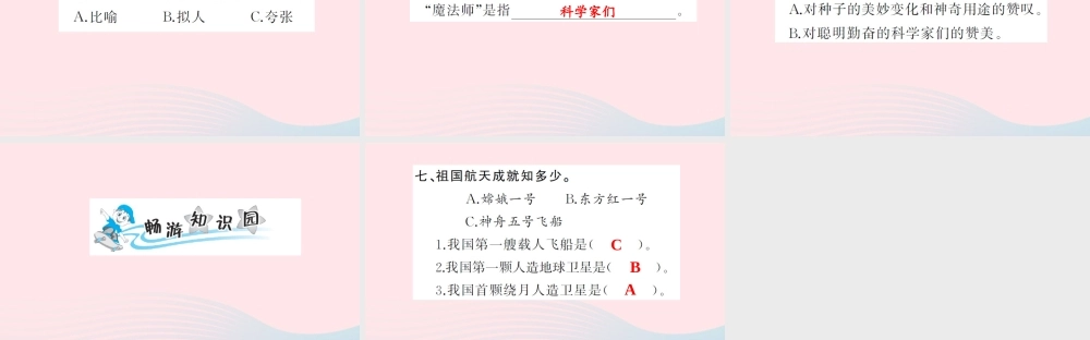 四年级语文上册 第八组 32 飞船上的特殊乘客习题课件 新人教版-新人教版小学四年级上册语文课件