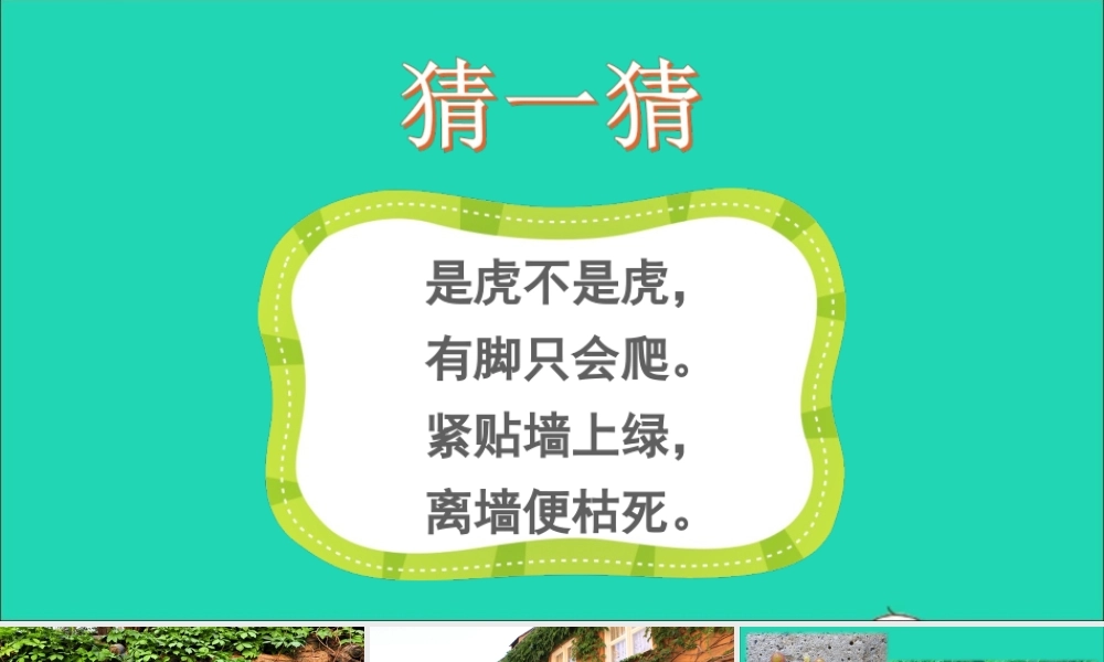 四年级语文上册 第三单元 10 爬山虎的脚课件 新人教版-新人教版小学四年级上册语文课件