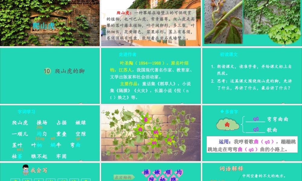 四年级语文上册 第三单元 10 爬山虎的脚课件 新人教版-新人教版小学四年级上册语文课件