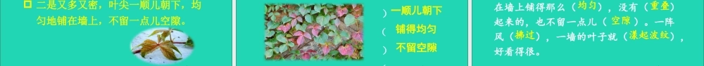 四年级语文上册 第三单元 10 爬山虎的脚课件 新人教版-新人教版小学四年级上册语文课件