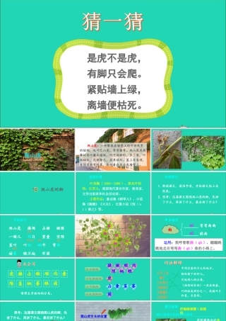 四年级语文上册 第三单元 10 爬山虎的脚课件 新人教版-新人教版小学四年级上册语文课件
