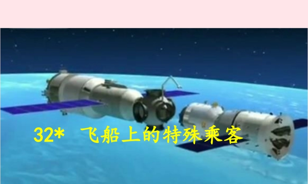 四年级语文上册 第八组 32《飞船上的特殊乘客》课堂教学课件1 新人教版-新人教版小学四年级上册语文课件