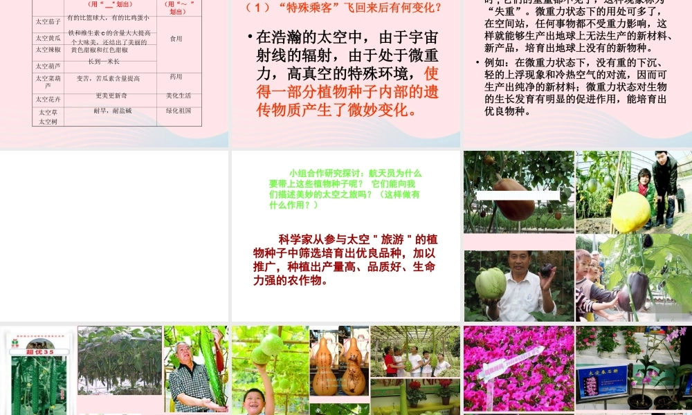 四年级语文上册 第八组 32《飞船上的特殊乘客》课堂教学课件1 新人教版-新人教版小学四年级上册语文课件