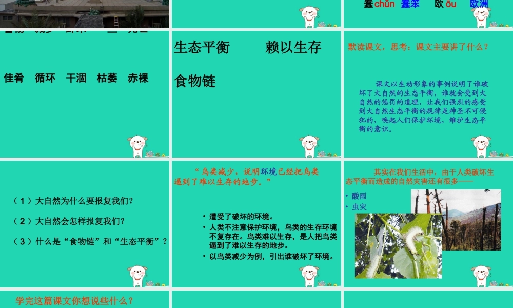 四年级语文上册《警惕大自然的报复》教学课件 教科版-教科版小学四年级上册语文课件