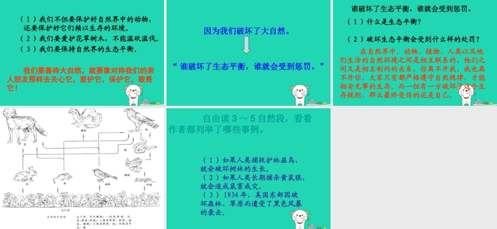 四年级语文上册《警惕大自然的报复》教学课件 教科版-教科版小学四年级上册语文课件