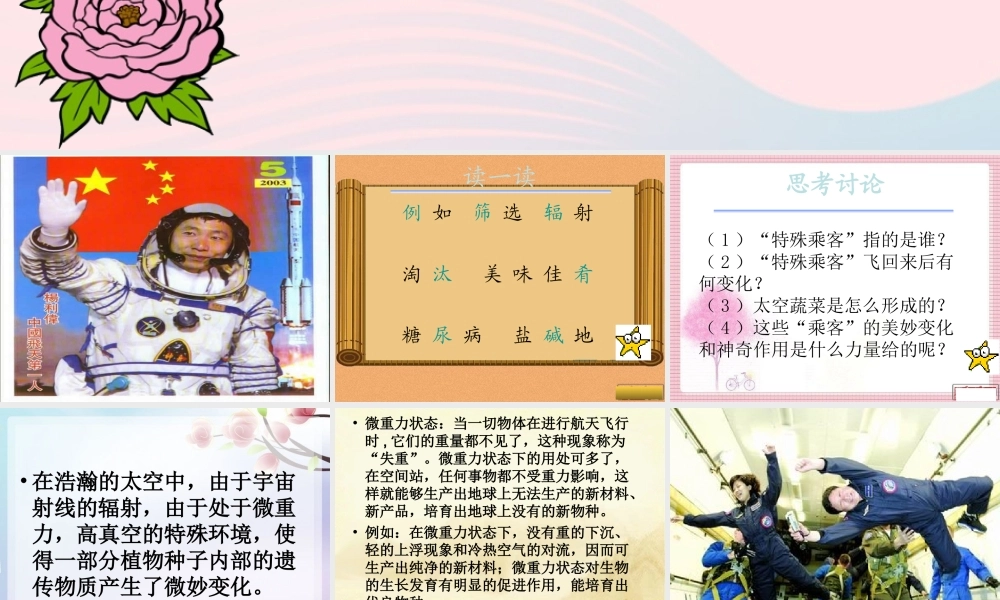 四年级语文上册 第八组 32《飞船上的特殊乘客》课堂教学课件2 新人教版-新人教版小学四年级上册语文课件