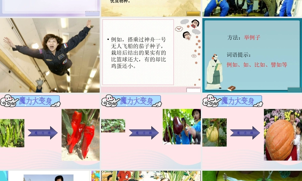 四年级语文上册 第八组 32《飞船上的特殊乘客》课堂教学课件2 新人教版-新人教版小学四年级上册语文课件