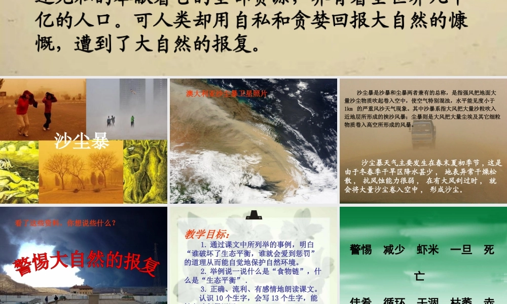 四年级语文上册《警惕大自然的报复》课件 教科版-教科版小学四年级上册语文课件