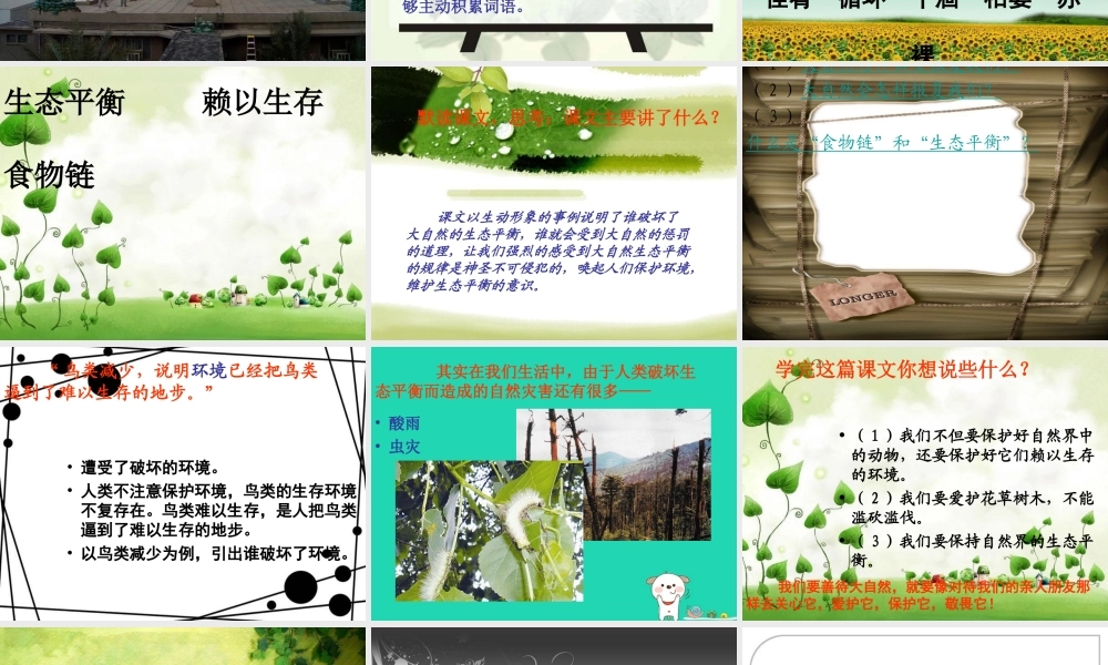 四年级语文上册《警惕大自然的报复》课件 教科版-教科版小学四年级上册语文课件