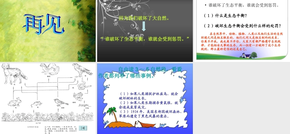 四年级语文上册《警惕大自然的报复》课件 教科版-教科版小学四年级上册语文课件