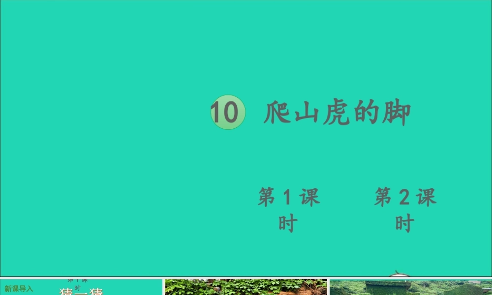 四年级语文上册 第三单元 10 爬山虎的脚课件