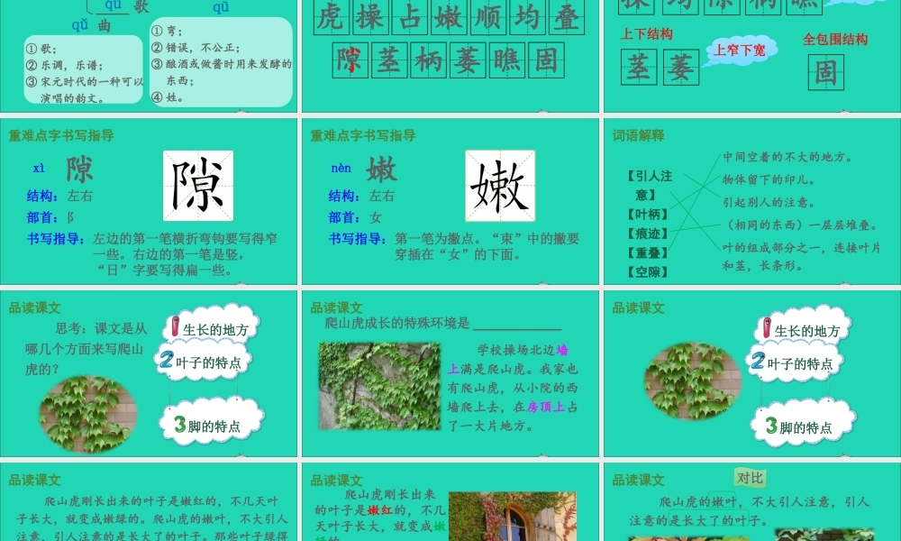 四年级语文上册 第三单元 10 爬山虎的脚课件