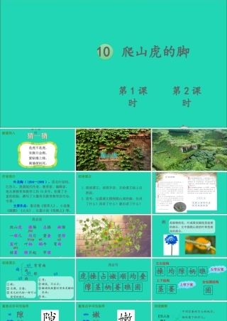 四年级语文上册 第三单元 10 爬山虎的脚课件
