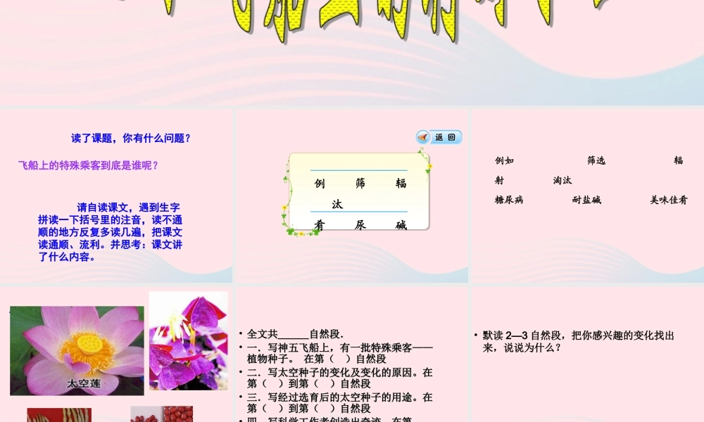 四年级语文上册 第八组 32《飞船上的特殊乘客》课堂教学课件3 新人教版-新人教版小学四年级上册语文课件