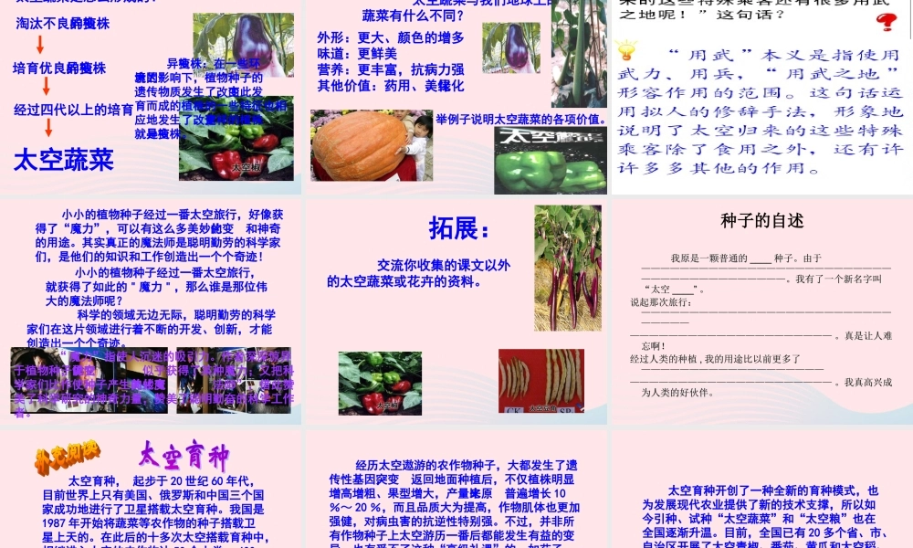 四年级语文上册 第八组 32《飞船上的特殊乘客》课堂教学课件3 新人教版-新人教版小学四年级上册语文课件