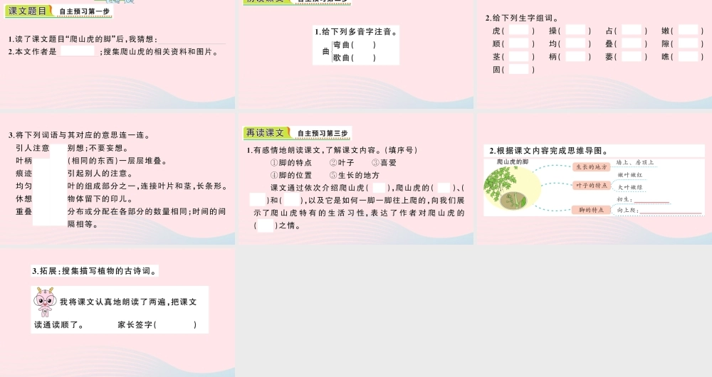 四年级语文上册 第三单元 10 爬山虎的脚作业课件 新人教版-新人教版小学四年级上册语文课件