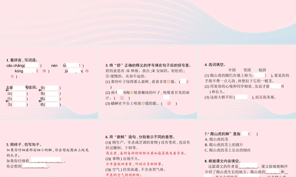 四年级语文上册 第三单元 10 爬山虎的脚作业课件 新人教版-新人教级上册语文课件