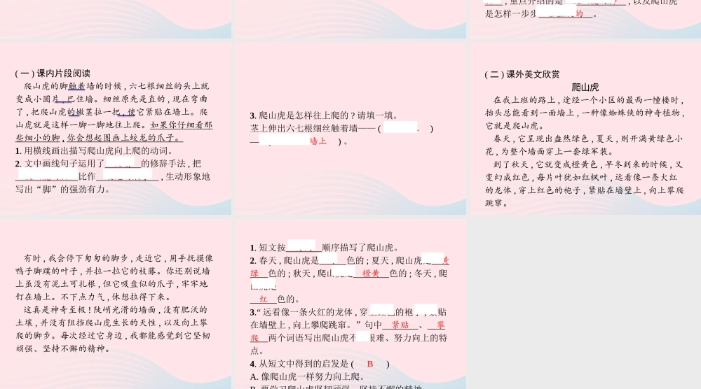 四年级语文上册 第三单元 10 爬山虎的脚作业课件 新人教版-新人教级上册语文课件
