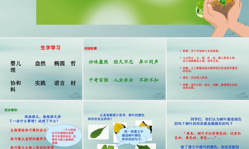 四年级语文上册 第三单元 10 树叶都是绿色的吗教学课件 语文S版-语文S版小学四年级上册语文课件