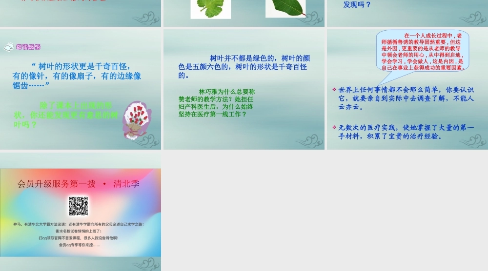 四年级语文上册 第三单元 10 树叶都是绿色的吗教学课件 语文S版-语文S版小学四年级上册语文课件