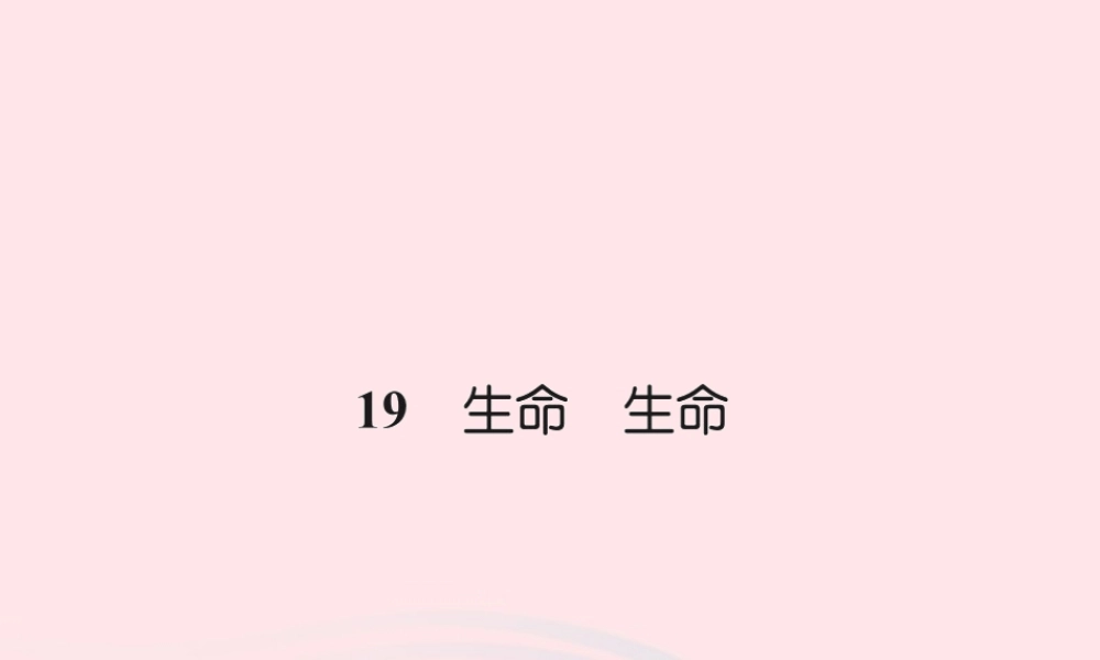 四年级语文下册 第5组 19 生命 生命习题课件 新人教版-新人教版小学四年级下册语文课件